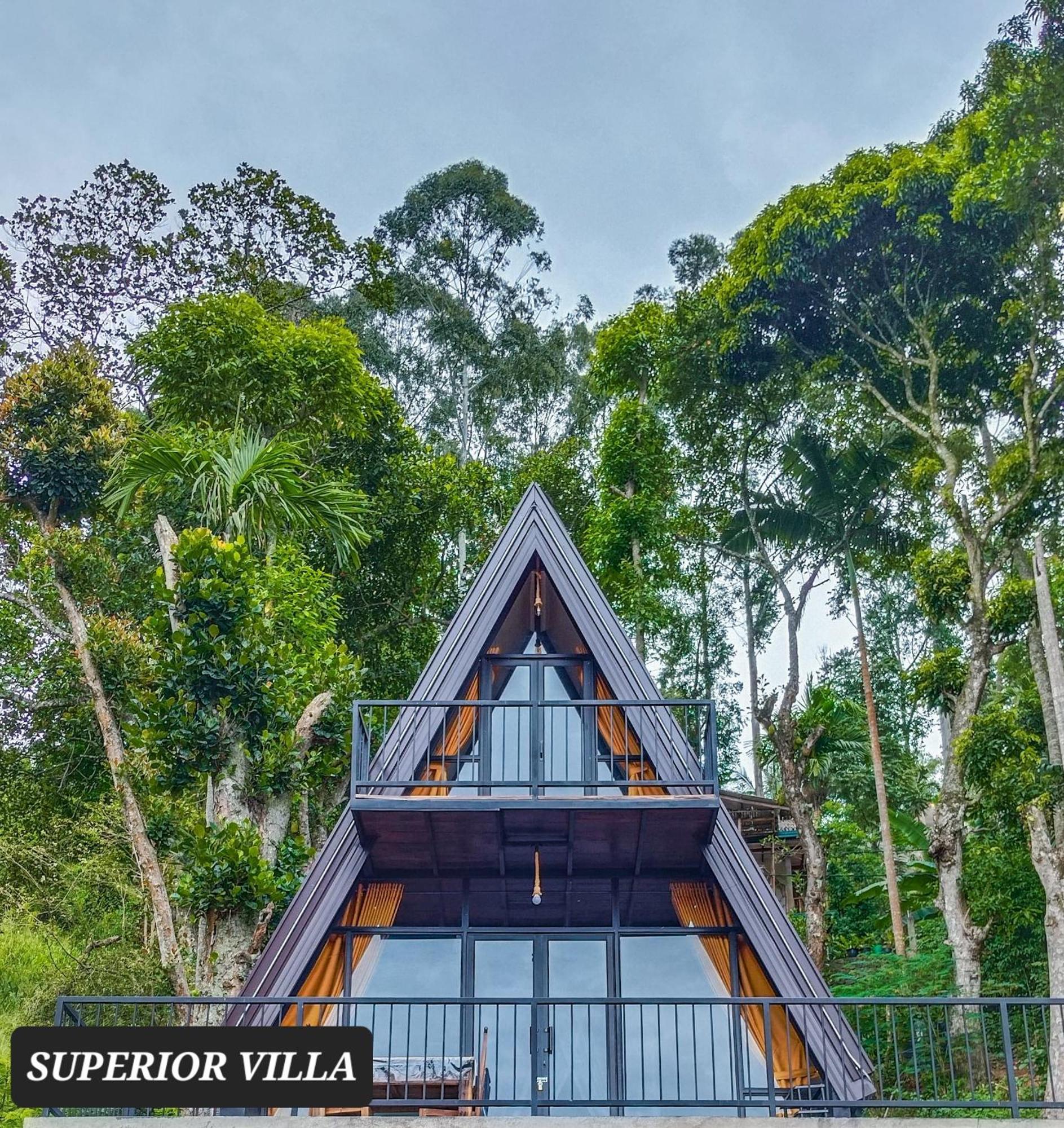 White Moon Cabin & Cottage 埃拉 外观 照片
